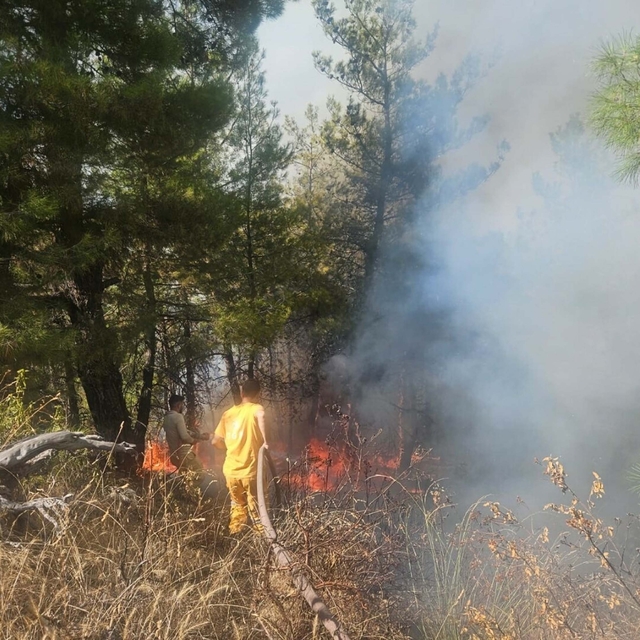 Denizli'de orman yangını, 2 saatte kontrol altına alındı