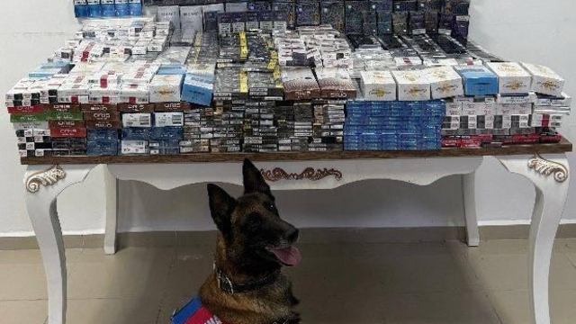 Niğde'de 3 bin 606 paket kaçak sigara ele geçirildi