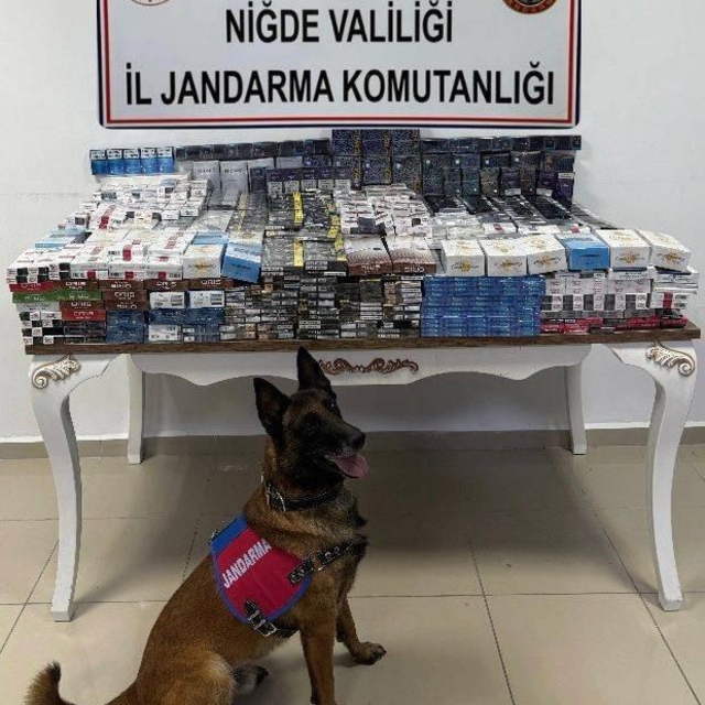 Niğde'de 3 bin 606 paket kaçak sigara ele geçirildi