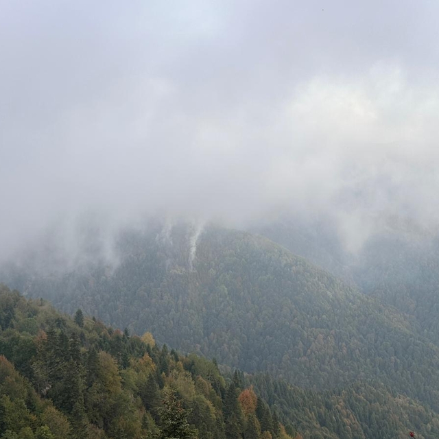 Sakarya'da ormanlık alanda çıkan yangın kontrol altına alındı