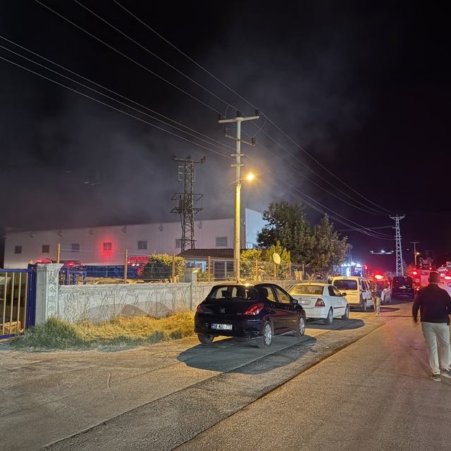 Sivas'ta ahşap üretim fabrikasında çıkan yangın büyümeden söndürüldü