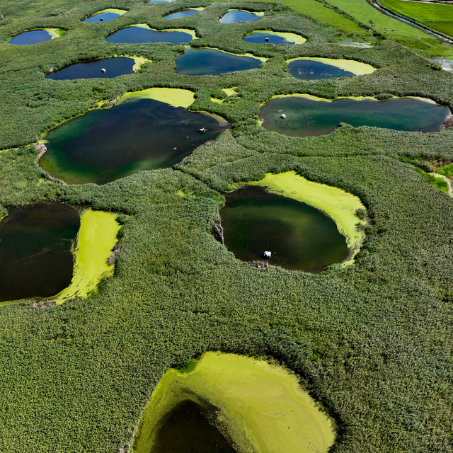 Kuraklığın etkilerinin hissedildiği Edirne'deki Göl Baba sulak alanı adeta...