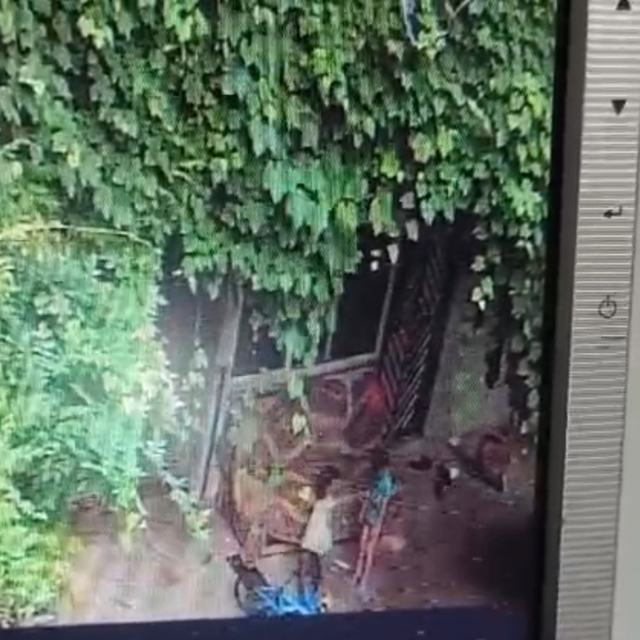 Salıncağın ipini boynuna dolayıp sallanmak isterken asılı kalan Eymen Asaf,...