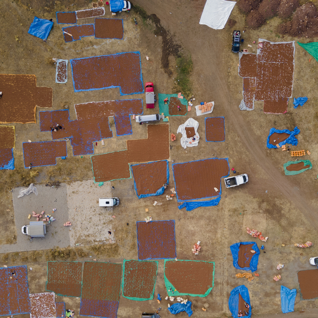 Giresunlu bazı fındık üreticileri bu yıl da ürünlerini Şebinkarahisar ilçes...