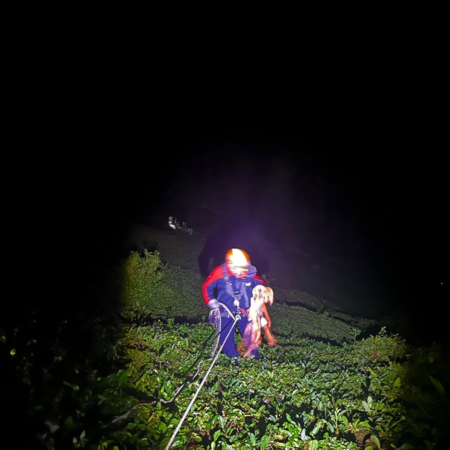 Rize'de uçurumdan dereye düşen turist öldü