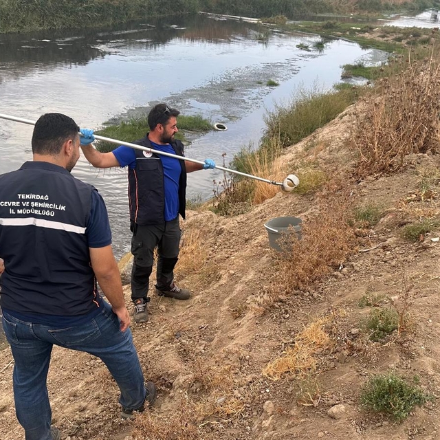 Tekirdağ'da arıtılmadan Çorlu Çayı'na yapılan atık su deşarjına inceleme