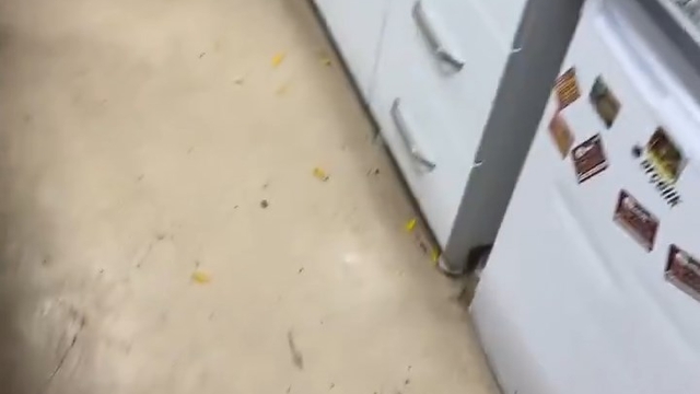 Diyarbakır'da doktora saldırı: 2 gözaltı