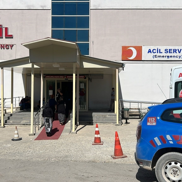 Ceviz toplamak için çıktığı ağaçtan düşüp öldü