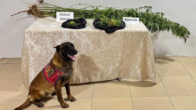 Elazığ'da uyuşturucu operasyonunda 1 şüpheli yakalandı