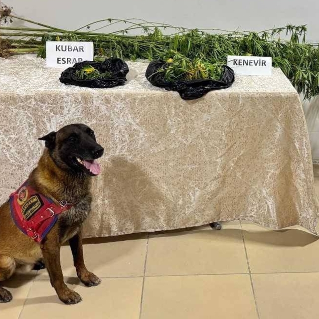 Elazığ'da uyuşturucu operasyonunda 1 şüpheli yakalandı