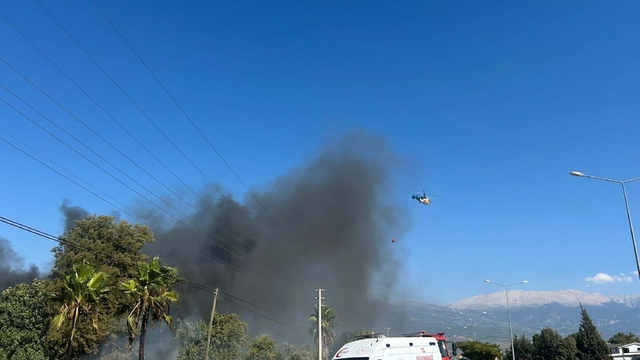 Orman yakınlarındaki kereste deposunda yangın