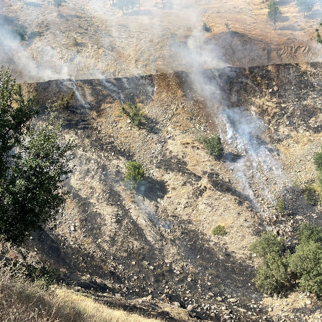 Hizan'da çıkan anız yangını söndürüldü