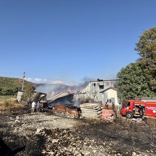 Muğla'da kereste deposu yangında kullanılamaz hale geldi