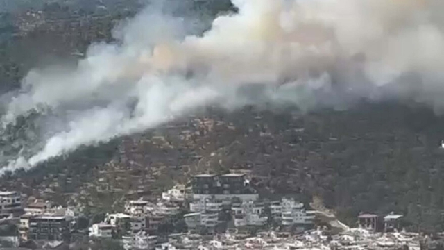 Balıkesir'de orman yangını