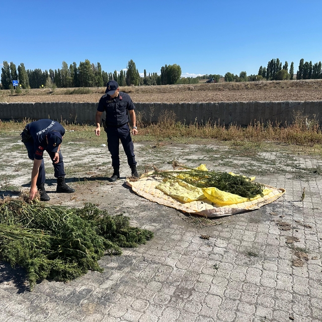 Alaca 21 kök kenevir itkisi ele geçirildi