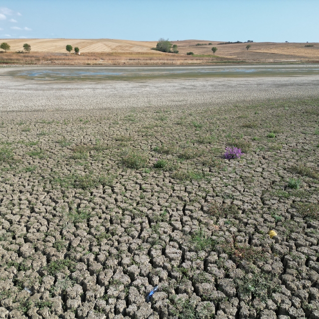 Tekirdağ'da Yeşilsırt Göleti kuraklık nedeniyle kuruma noktasına geldi
