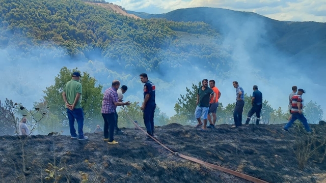 Düzce'de anız yangını ormanlık alana sıçramadan söndürüldü