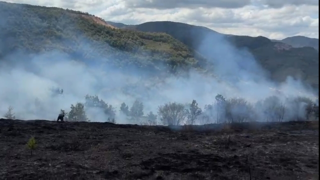 Fındık bahçesinde çıkan yangın, ormana sıçramadan kontrol altına alındı