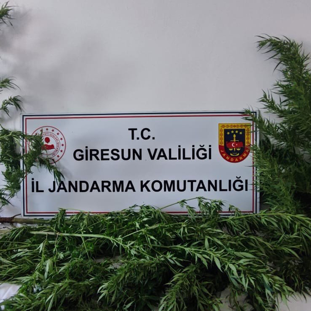Giresun'da uyuşturucu operasyonu