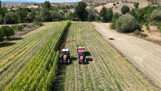 Isparta'da silajlık mısır hasadı başladı
