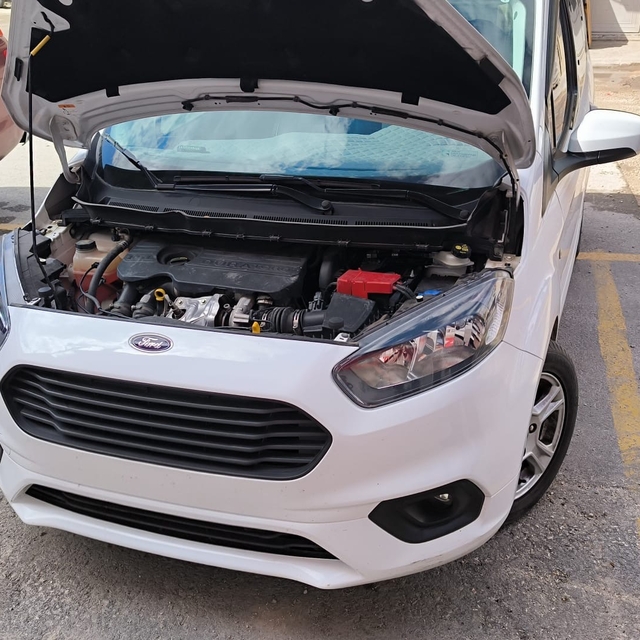 Tokat'ta otomobilin motoruna sıkışan kedi kurtarıldı