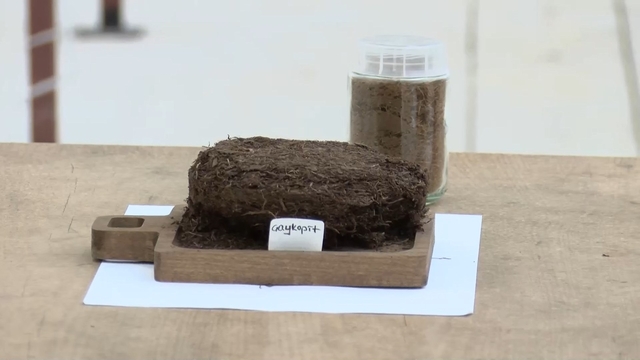 Çay atığından topraksız tarım; 'kokopit'e alternatif 'çaykopit'