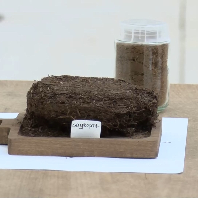 Çay atığından topraksız tarım; 'kokopit'e alternatif 'çaykopit'