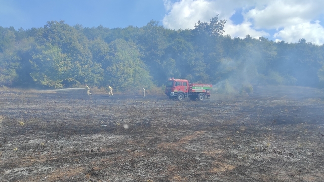 Kırklareli'nde çıkan örtü yangını söndürüldü