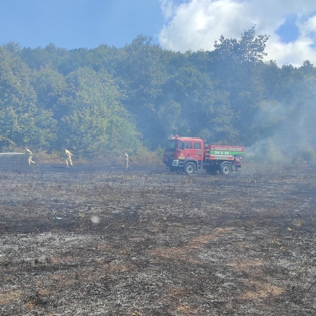 Kırklareli'nde çıkan örtü yangını söndürüldü