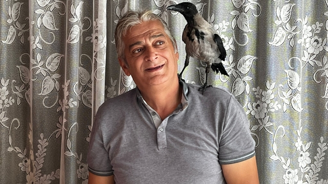 Fındık ikram ettiği kargayla dostluk kurdu