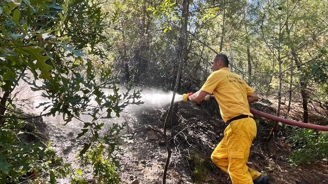 Adana'da çıkan orman yangını kontrol altına alındı