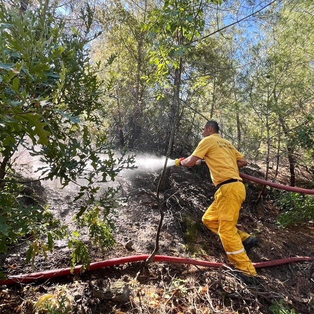 Adana'da çıkan orman yangını kontrol altına alındı