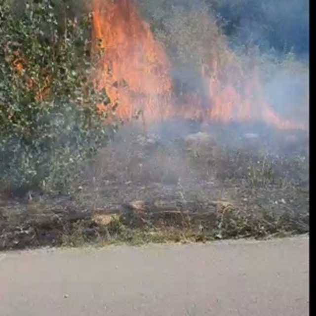 Yol kenarında, ağaçlık alanda çıkan yangın büyümeden söndürüldü