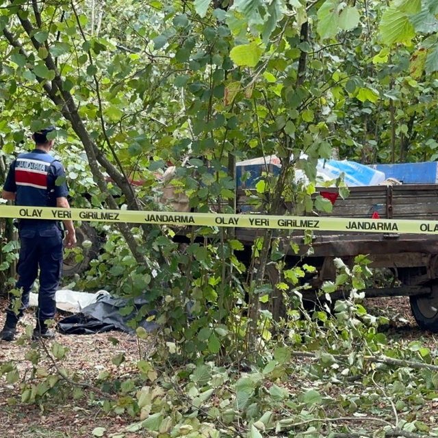 Traktörden düşüp teker ile ağaç arasına sıkışan sürücü öldü