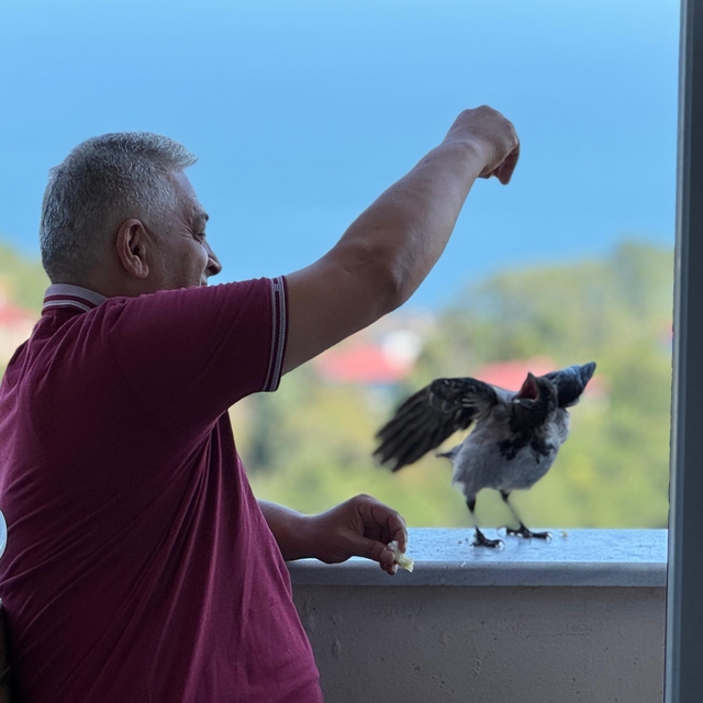 'Şakir' ismini verdiği kargaya çocuğu gibi bakıyor