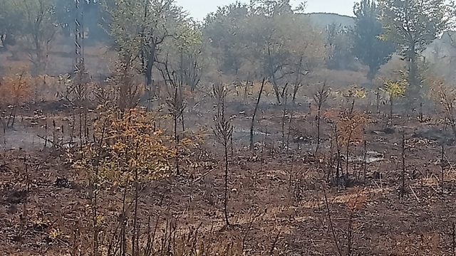 Bilecik'te arazi yangını söndürüldü
