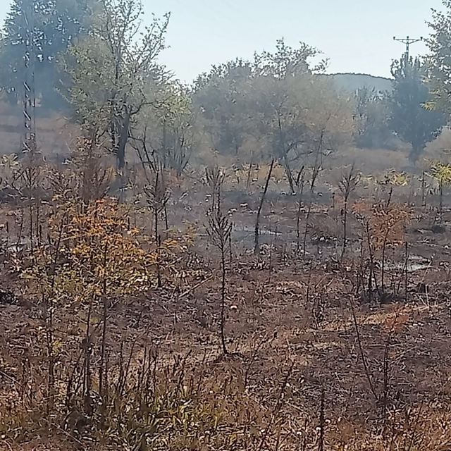 Bilecik'te arazi yangını söndürüldü