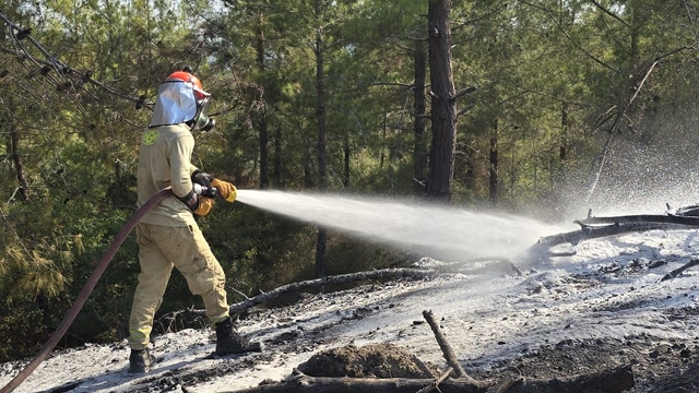 Osmaniye'de çıkan orman yangını söndürüldü