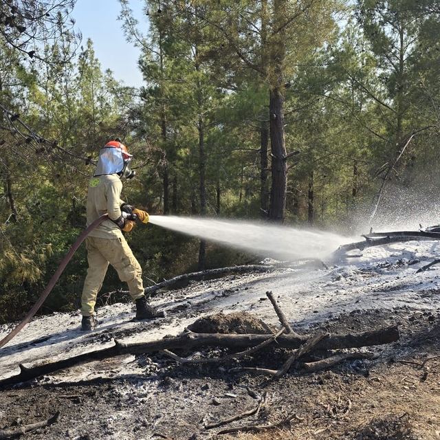 Osmaniye'de çıkan orman yangını söndürüldü
