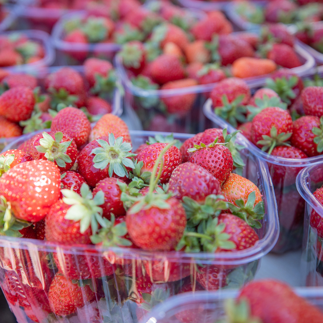 Sakarya'da Çilek Festivali renkli görüntülere sahne oldu