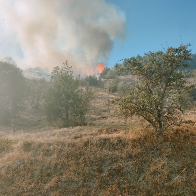 Karabük'te orman yangını