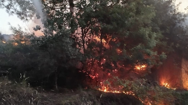 Hatay'da çıkan orman yangını söndürüldü
