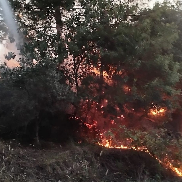 Hatay'da çıkan orman yangını söndürüldü