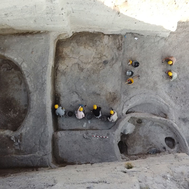 Koyun ve keçi Aşıklı Höyük'te evcilleştirilip dünyaya yayılmış