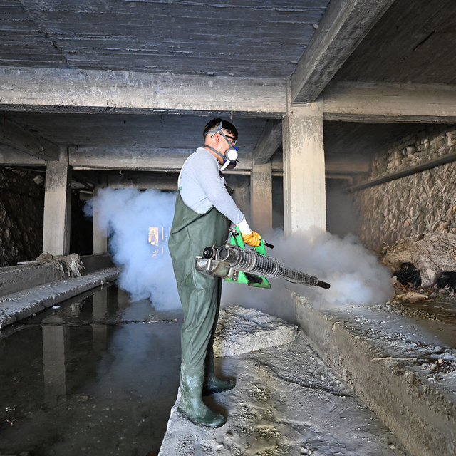 'Sığırlarda görülen üç gün hastalığını önlemenin yolu, sinekle mücadele'