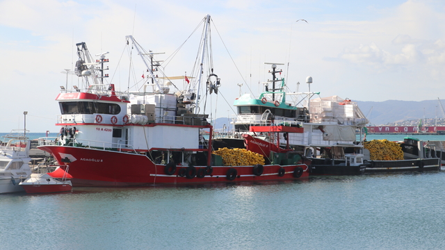 Tekirdağ'da poyraz 2 gündür deniz ulaşımında aksamalara neden oluyor