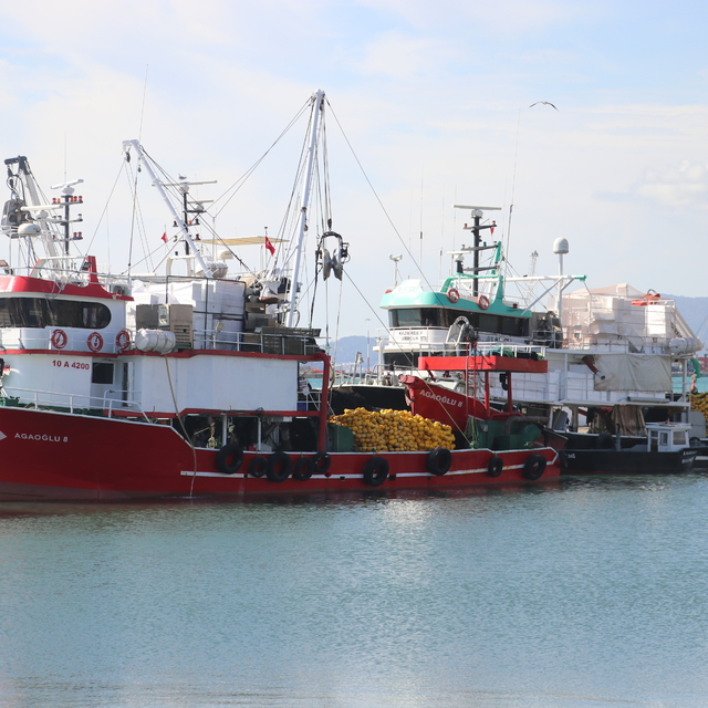 Tekirdağ'da poyraz 2 gündür deniz ulaşımında aksamalara neden oluyor
