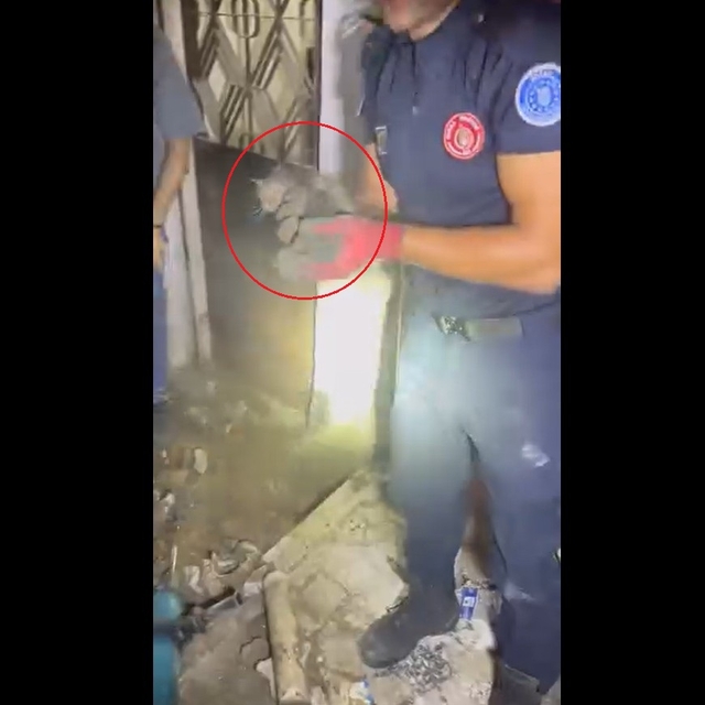 Giderde mahsur kalan yavru kediyi itfaiye kurtardı