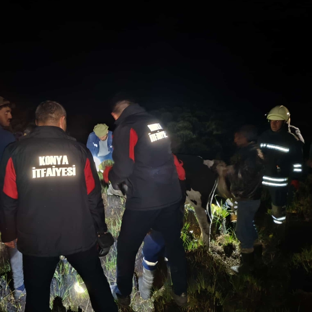 Seydişehir'de bataklığa saplanan inek kurtarıldı