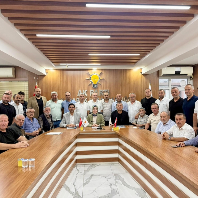 Karabük'te AK Parti ilçe danışma meclisi toplantıları tamamlandı